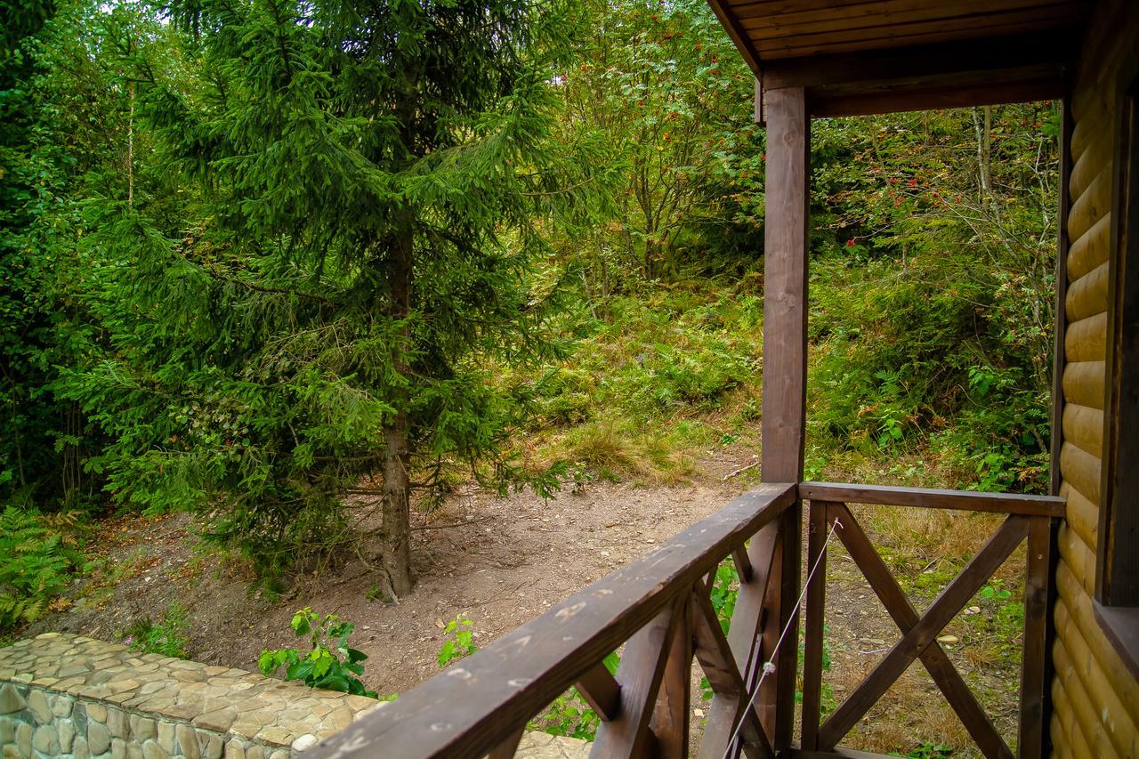 Pid Lisom Hotel Skhidnytsia Exterior photo